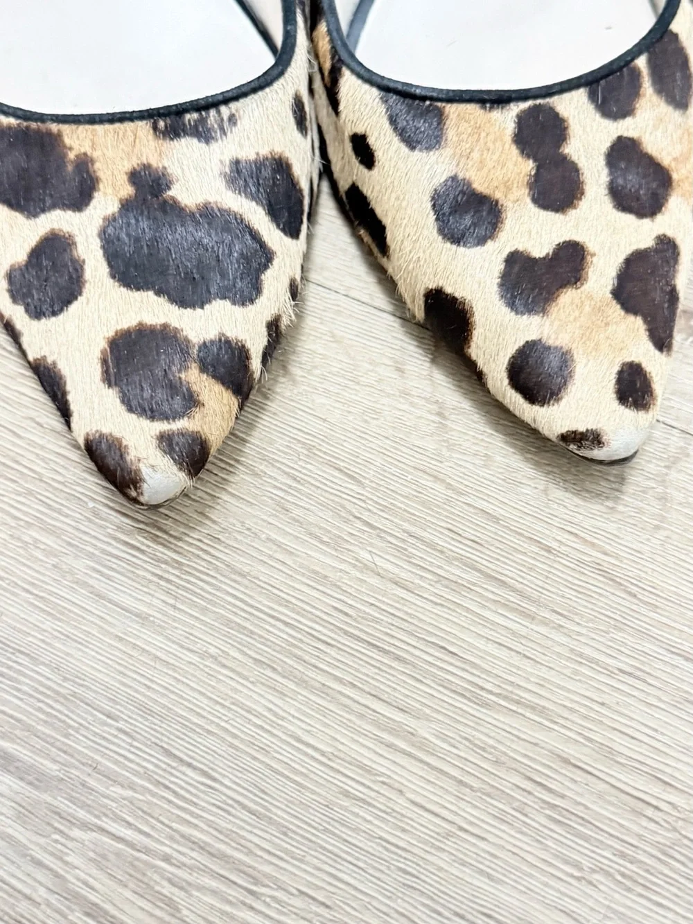 Cole Haan Leopard Haircalf Pointed Toe Flats - Tan & Black